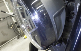 TRIUMPH TRIDENT 660 2025