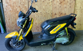HONDA ZOOMERX JF38