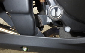 KAWASAKI NINJA 250 EX250L