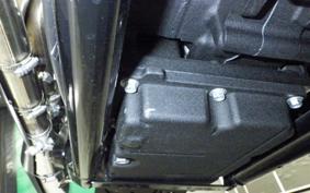 HARLEY FXLRST1920 2025