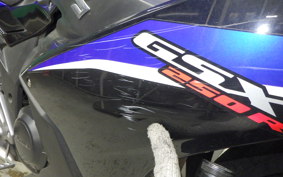 SUZUKI GSX250 R