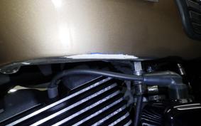 HARLEY XG750 STREET ROD 2020