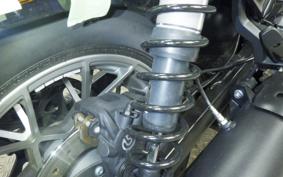 HARLEY RH975S 2024