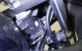 KAWASAKI NINJA 250 EX250L