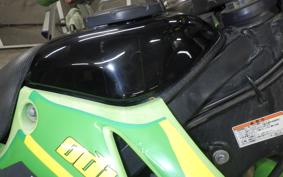 KAWASAKI KLX250 2024 LX250E
