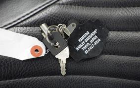 HARLEY FLSS 1800 2016