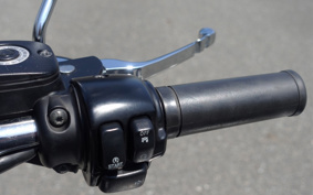 HARLEY FLSTSC1450 2006 BRY