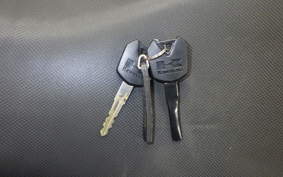 KAWASAKI Z250 2009 ER250C