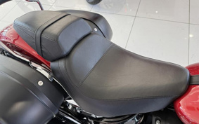HARLEY FLSB 2019 YMJ