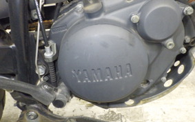 YAMAHA TW225 2023 DG09J