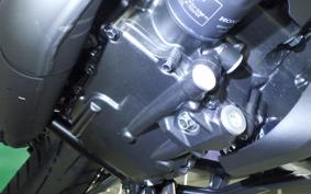 HONDA REBEL 1100 S DCT 2025 SC87