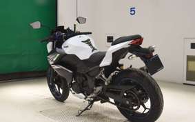 KAWASAKI Z250 2020 ER250C