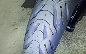 TRIUMPH TRIDENT 800 2026