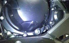 KAWASAKI NINJA 1000SX 2021 ZXT02K