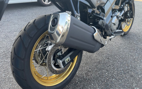 SUZUKI DL650 ( V-Strom 650 ) 2024 C733M