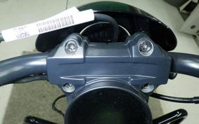 HARLEY RH975S 2024