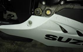 SUZUKI GSX-R1000 2010