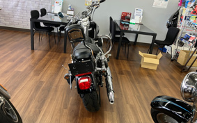 HARLEY FXDL1580 2009 GN4