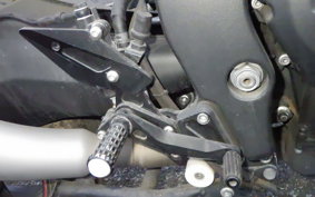 YAMAHA FZ1 FAZER 2009 RN21J