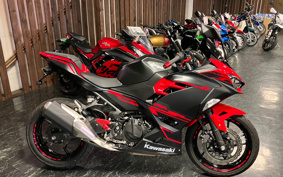 KAWASAKI Ninja 250 ABS EX250P