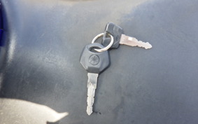 YAMAHA YZF-R25 1999 RG10J