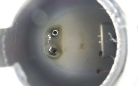 HONDA C90 SUPER CUB HA02