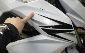 KAWASAKI Z250 2008 ER250C