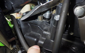 KAWASAKI Z125 PRO 2025 BR125H