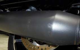HARLEY FLTRX1920 2024