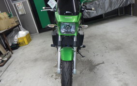 KAWASAKI ZRX1200 D 2013 ZRT20D
