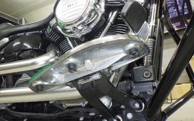 HARLEY FLFB 1750 2019