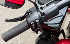 HARLEY FLTRXS 2023 AFP