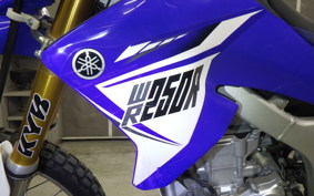 YAMAHA WR250R 2021 DG15J