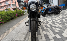 KAWASAKI W800 CAFE 2022 EJ800E