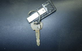 SUZUKI GSX250S KATANA