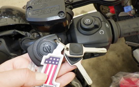 HARLEY RH975 2023