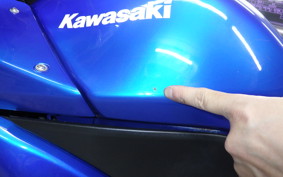 KAWASAKI NINJA 250R 2021 EX250K
