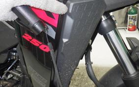 SUZUKI Vｽﾄﾛｰﾑ250SX 2023 EL11L