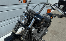 HARLEY FXBB 2019 YJJ