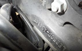 KAWASAKI VERSYS X250 A LE250D