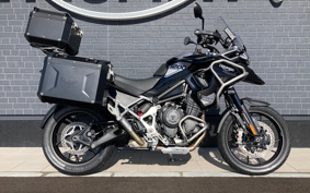TRIUMPH  TRIUMPH  TIGER 1200GTPRO 2024 TAP22V