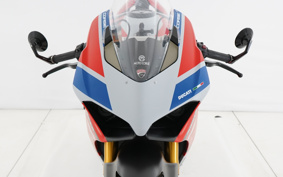 DUCATI PANIGA-REV4S CORSE 2019