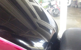 HONDA STEED 400 1995 NC26