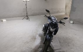 YAMAHA FZ25 RG42