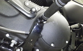 HARLEY XL1200NS 2021