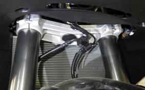 KAWASAKI NINJA1100SX 2025