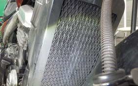 KAWASAKI ELIMINATOR 250 SE 2021 EL250A