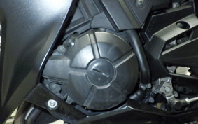 KAWASAKI Z250 2022 ER250C