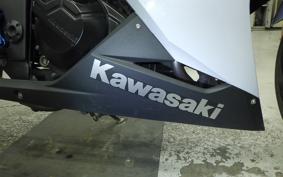 KAWASAKI NINJA 250 EX250L