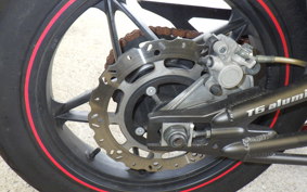 OTHER +ﾒｶﾞﾘ250R